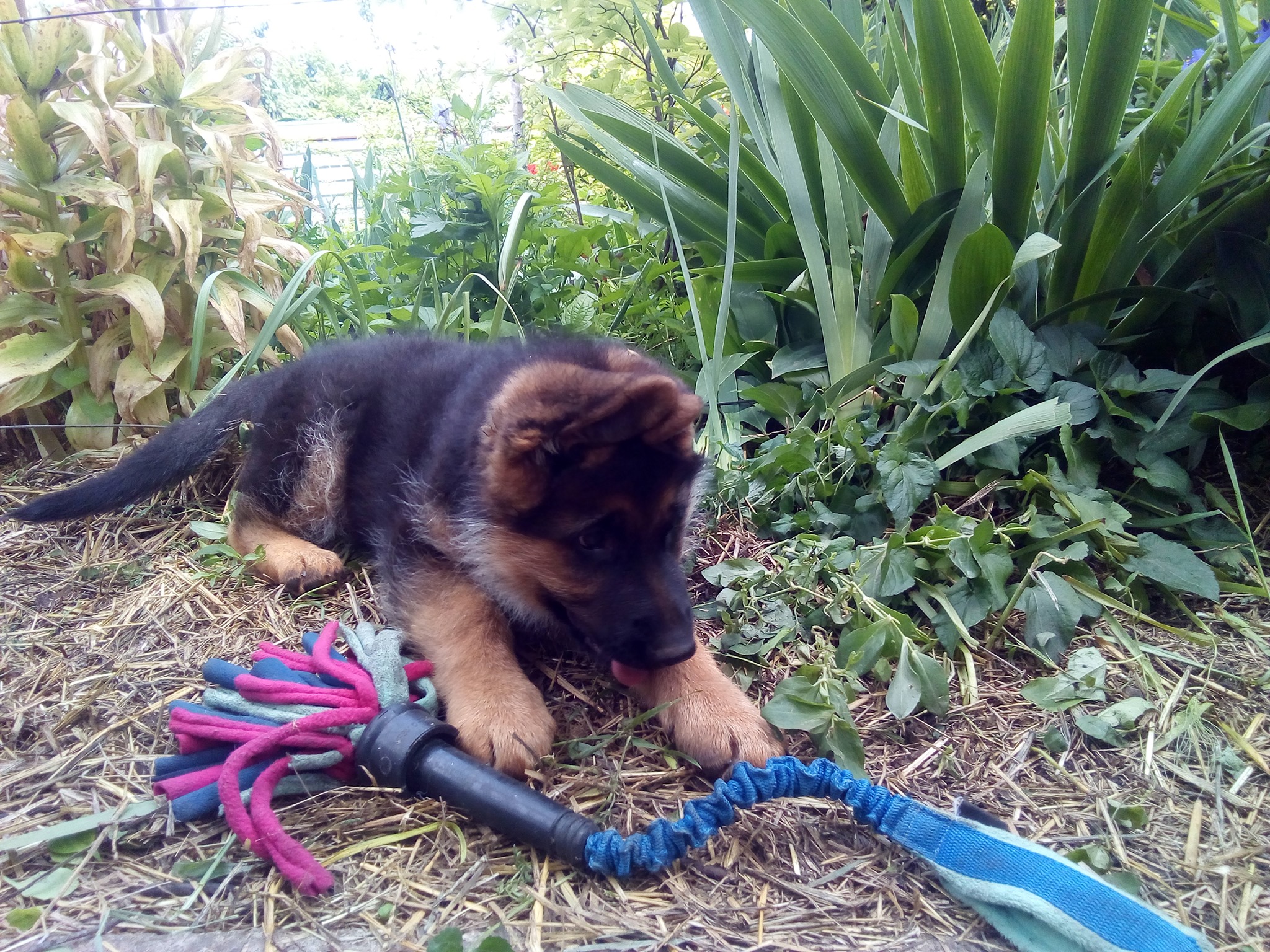Cent_2 month 10 days_5.jpg